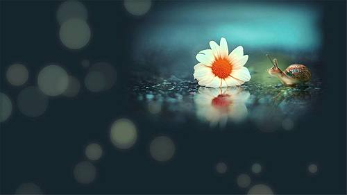 《萧萧雨生别离》林子川秦嫣然，短篇虐心好文！