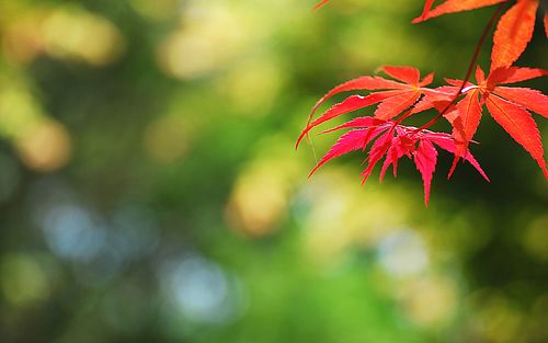 小说主角名叫秦城林倾城林青丝 主角秦城林倾城林青丝小说免费阅读 - 欢乐阅读网 小说主角名叫秦城林倾城林青丝 主角秦城林倾城林青丝小说免费阅读 - 欢乐阅读网